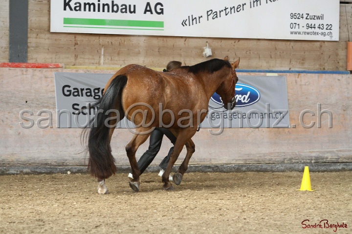 24-ApHC HIH_118.jpg